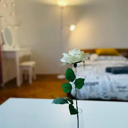 Lovely 2bdr In Center, Wifi & Self-check In * ブラチスラヴァ